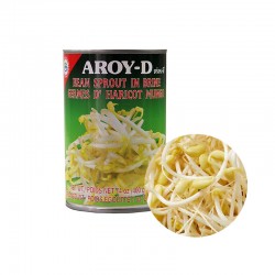 PANASIA AROY-D Bean sprouts in can 400g 1