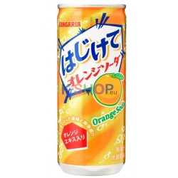  SANGARIA Hajikete Orange Soda 250ml (Einweg) zzgl. 0,25€ Pfand 1
